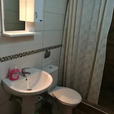 Gmitrovic Apartment