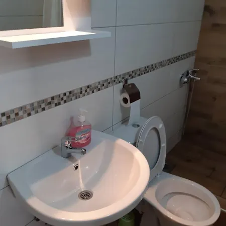 Gmitrovic Apartment