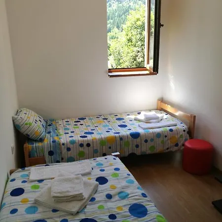 Apartment Gmitrovic *