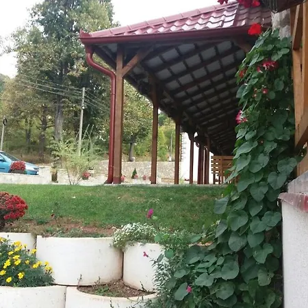 Gmitrovic Apartment
