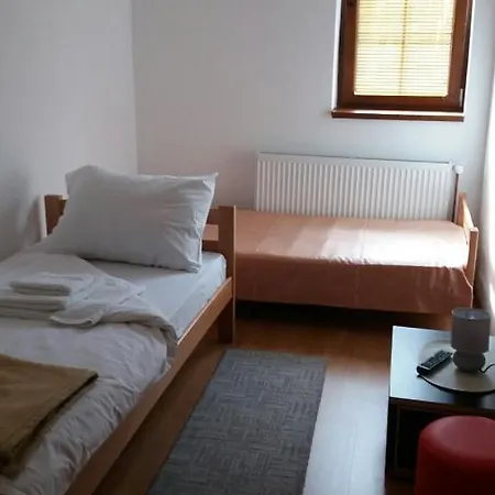 Gmitrovic Apartment