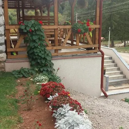 Apartment Gmitrovic Rtanj