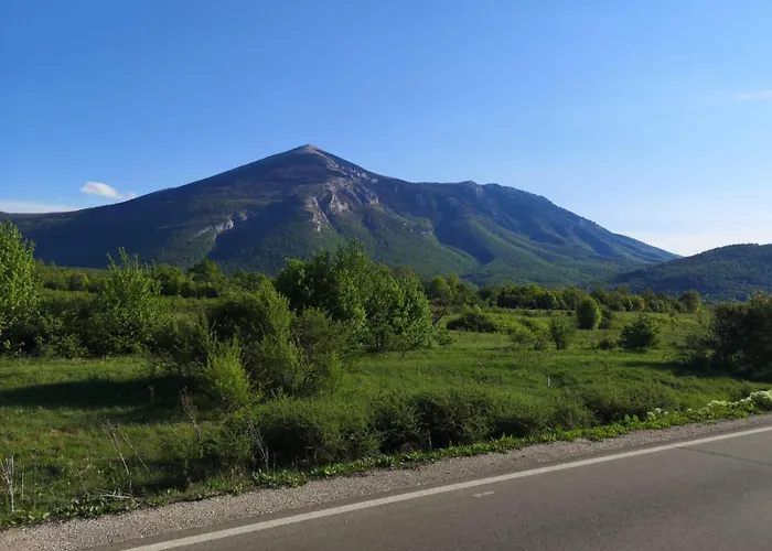 Gmitrovic Апартаменты